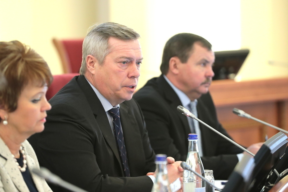 Мы не можем прекратить выплату регионального материнского капитала, - губернатор Ростовской области Мы не можем прекратить выплату регионального материнского капитала, - губернатор Ростовской области