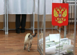 По итогам выборов только три парламентские партии в Ростовской области смогли преодолеть барьер в 5% По итогам выборов только три парламентские партии в Ростовской области смогли преодолеть барьер в 5%