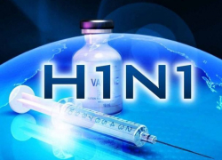 Лук, алкоголь, вакцинация и грипп H1N1: главврач и заведующий поликлиникой предупредили морозовчан Лук, алкоголь, вакцинация и грипп H1N1: главврач и заведующий поликлиникой предупредили морозовчан