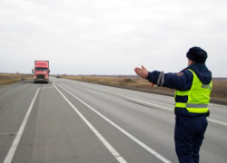 1200 бараньих шкур без документов задержали на посту ДПС под Морозовском 1200 бараньих шкур без документов задержали на посту ДПС под Морозовском