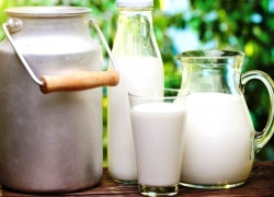 Вопрос-ответ: Где можно купить продукцию морозовского молокозавода? Вопрос-ответ: Где можно купить продукцию морозовского молокозавода?