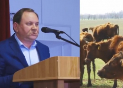 Как «поднимали» Заветное, или Кто такой Виктор Дерябкин? Как «поднимали» Заветное, или Кто такой Виктор Дерябкин?
