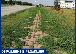 Неужели нет служб, которые обязаны за этим следить? - морозовчанка о заросшем травой тротуаре Неужели нет служб, которые обязаны за этим следить? - морозовчанка о заросшем травой тротуаре