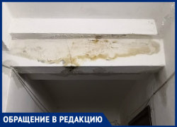 Несмотря на предписание прокуратуры, ЖКХ бездействует, - морозовчанка о плесени в многоквартирном доме Несмотря на предписание прокуратуры, ЖКХ бездействует, - морозовчанка о плесени в многоквартирном доме
