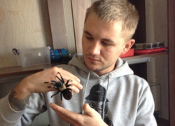 Житель Морозовского района держит дома ядовитых пауков, тараканов и змей Житель Морозовского района держит дома ядовитых пауков, тараканов и змей