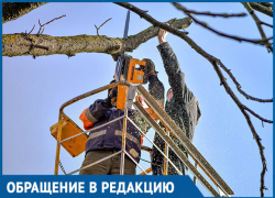 Почему мы должны убирать за электриками, - морозовчанка Почему мы должны убирать за электриками, - морозовчанка