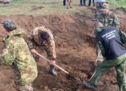 Найдено тело ребенка, которого пытались заменить похищенным в Морозовске Тимуром Найдено тело ребенка, которого пытались заменить похищенным в Морозовске Тимуром