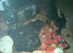Закрывшие двери жильцы дома в поселке Лесопитомник помешали распространению пожара Закрывшие двери жильцы дома в поселке Лесопитомник помешали распространению пожара