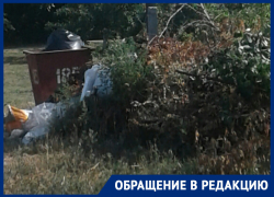 Спиленные деревья в Морозовске лежат с марта рядом в мусорным баком Спиленные деревья в Морозовске лежат с марта рядом в мусорным баком