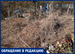 Ужас творится на Южном кладбище! - морозовчанка Ужас творится на Южном кладбище! - морозовчанка