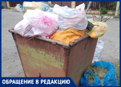 Мусор вовремя не вывозят и "кормят завтраками", - морозовчанка Мусор вовремя не вывозят и "кормят завтраками", - морозовчанка