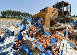 Увеличилось количество стран, продукцию из которых будут уничтожать Увеличилось количество стран, продукцию из которых будут уничтожать