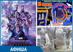 Долгожданная премьера современного циркового спектакля в Морозовске состоится уже сегодня Долгожданная премьера современного циркового спектакля в Морозовске состоится уже сегодня