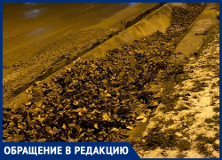 Откуда в городе берётся грязь? - морозовчанка о забитых ливневках и плохой работе ЖКХ Откуда в городе берётся грязь? - морозовчанка о забитых ливневках и плохой работе ЖКХ