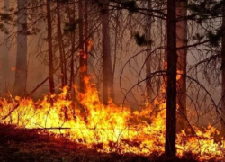 Два дня чрезвычайной пожароопасности предстоит пережить Морозовскому району Два дня чрезвычайной пожароопасности предстоит пережить Морозовскому району