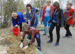 Письмо в редакцию: Розы, сирень и бульденеж посадили в день древонасаждений в детском саду Морозовска Письмо в редакцию: Розы, сирень и бульденеж посадили в день древонасаждений в детском саду Морозовска