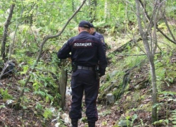 Тело пропавшего без вести пасечника обнаружили в лесополосе под Морозовском Тело пропавшего без вести пасечника обнаружили в лесополосе под Морозовском