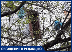 Мусор регулярно вылетает из окон многоквартирного дома в "Тексере" Мусор регулярно вылетает из окон многоквартирного дома в "Тексере"