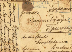 Текст 100-летней не дошедшей до адресата открытки на немецком языке перевели в Морозовске Текст 100-летней не дошедшей до адресата открытки на немецком языке перевели в Морозовске