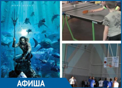 Премьера приключенческого фильма о короле Атлантиды и спортивные соревнования: куда сходить в Морозовске на этой неделе Премьера приключенческого фильма о короле Атлантиды и спортивные соревнования: куда сходить в Морозовске на этой неделе