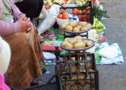Штрафные санкции за торговлю в неустановленных местах стали еще жестче Штрафные санкции за торговлю в неустановленных местах стали еще жестче