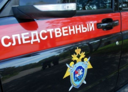 Следственный комитет взялся проверять обстоятельства избиения Любы в Морозовске Следственный комитет взялся проверять обстоятельства избиения Любы в Морозовске