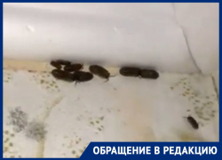Плесень и мокрицы поселились в доме для сирот в Морозовске Плесень и мокрицы поселились в доме для сирот в Морозовске