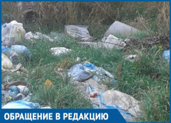 Каждый день хожу мима этого ужаса, - морозовчанка о несанкционированной свалке на улице Жукова Каждый день хожу мима этого ужаса, - морозовчанка о несанкционированной свалке на улице Жукова