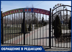 Выходной день морозовчане с детьми хотели провести в парке Выходной день морозовчане с детьми хотели провести в парке