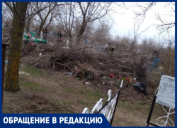 Неужели участник Великой Отечественной войны заслужил лежать в мусоре? - морозовчанка Неужели участник Великой Отечественной войны заслужил лежать в мусоре? - морозовчанка