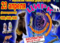 Фантастическое шоу теперь и в Морозовске: выиграй бесплатные билеты в цирк дополненной реальности Фантастическое шоу теперь и в Морозовске: выиграй бесплатные билеты в цирк дополненной реальности