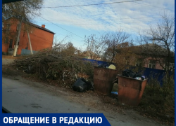 Угол улицы Чапаева и переулка Комсомольский в Морозовске утонул в мусоре Угол улицы Чапаева и переулка Комсомольский в Морозовске утонул в мусоре