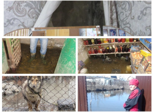 Половину Морозовска затопило: вода стоит в подвалах и во дворах Половину Морозовска затопило: вода стоит в подвалах и во дворах