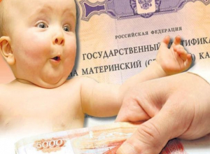 Ежемесячные выплаты из материнского капитала могут получать семьи с низкими доходами Ежемесячные выплаты из материнского капитала могут получать семьи с низкими доходами