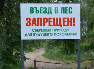 Введен режим ограничения пребывания граждан в лесах возле Морозовска Введен режим ограничения пребывания граждан в лесах возле Морозовска