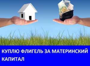 Морозовчане желают купить флигель за материнский капитал Морозовчане желают купить флигель за материнский капитал
