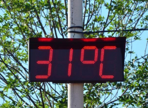 Синоптики обещают морозовчанам до +31 градуса в тени Синоптики обещают морозовчанам до +31 градуса в тени