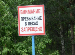 Лес для дончан пока под запретом: ограничение продлили до 1 октября Лес для дончан пока под запретом: ограничение продлили до 1 октября