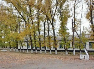 Календарь Морозовска: Ново-Павловские комсомольцы в октябре 1949 года посадили 5000 деревьев Календарь Морозовска: Ново-Павловские комсомольцы в октябре 1949 года посадили 5000 деревьев
