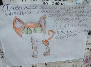 Мимишное объявление разместили в Морозовске Мимишное объявление разместили в Морозовске