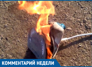 Советы по безопасному использованию электроприборов зимой дал начальник пожарных Морозовска Советы по безопасному использованию электроприборов зимой дал начальник пожарных Морозовска