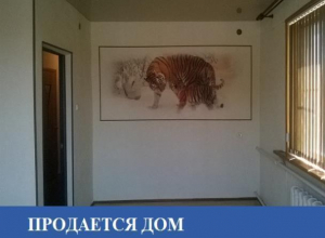 Продается квартира с натяжным потолком в тихом экологически чистом районе Морозовска Продается квартира с натяжным потолком в тихом экологически чистом районе Морозовска