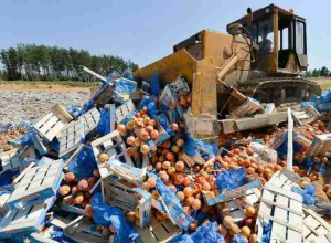 Увеличилось количество стран, продукцию из которых будут уничтожать Увеличилось количество стран, продукцию из которых будут уничтожать