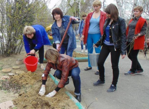 Письмо в редакцию: Розы, сирень и бульденеж посадили в день древонасаждений в детском саду Морозовска Письмо в редакцию: Розы, сирень и бульденеж посадили в день древонасаждений в детском саду Морозовска