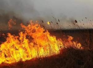 Осторожно! В Морозовском районе два дня будет чрезвычайная пожароопасность Осторожно! В Морозовском районе два дня будет чрезвычайная пожароопасность