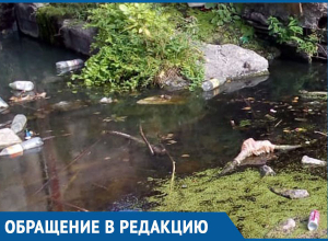 Жуткий «срачник» вдоль реки возмутил морозовчанку Жуткий «срачник» вдоль реки возмутил морозовчанку
