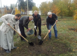17 деревьев и 40 кустарников посадили в Морозовске в День древонасаждения 17 деревьев и 40 кустарников посадили в Морозовске в День древонасаждения
