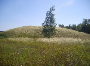 Курганы: Множество нераскрытых тайн хранит в себе земля Морозовского района Курганы: Множество нераскрытых тайн хранит в себе земля Морозовского района