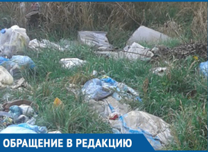 Каждый день хожу мима этого ужаса, - морозовчанка о несанкционированной свалке на улице Жукова Каждый день хожу мима этого ужаса, - морозовчанка о несанкционированной свалке на улице Жукова