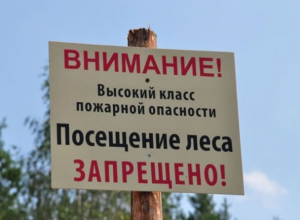 Сроки запрета на посещение леса продлили до конца июля Сроки запрета на посещение леса продлили до конца июля